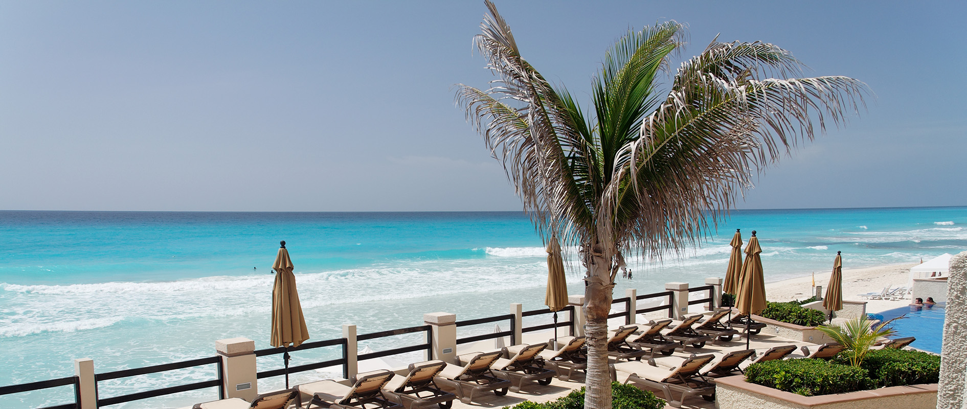 Oceanfront resort terrace with palm tree and turquoise sea — sell travel as a travel agent